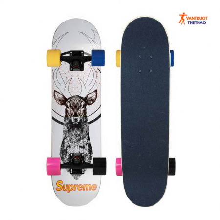 Ván Trượt Skateboard Coolstep Kudu 1300